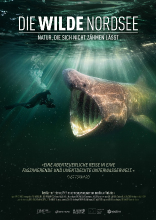 Filmplakat zu Die wilde Nordsee - Natur, die sich nicht zähmen lässt – Kinoprogramm Großhabersdorf