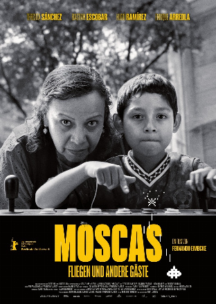 Filmplakat Moscas - Fliegen und andere Gäste